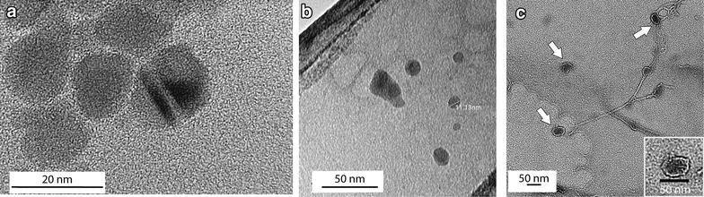 Fig. 2