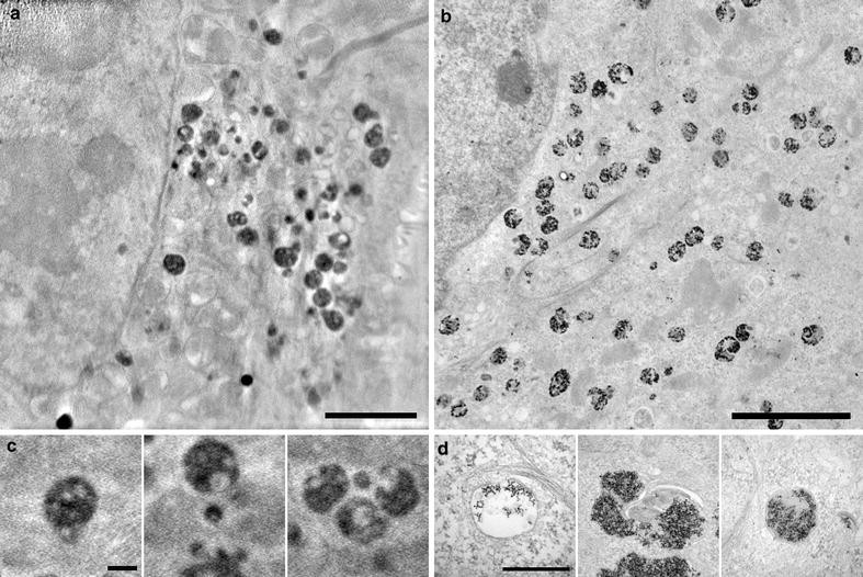 Fig. 3