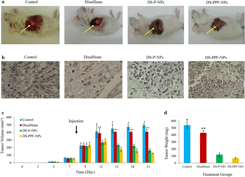 Fig. 13