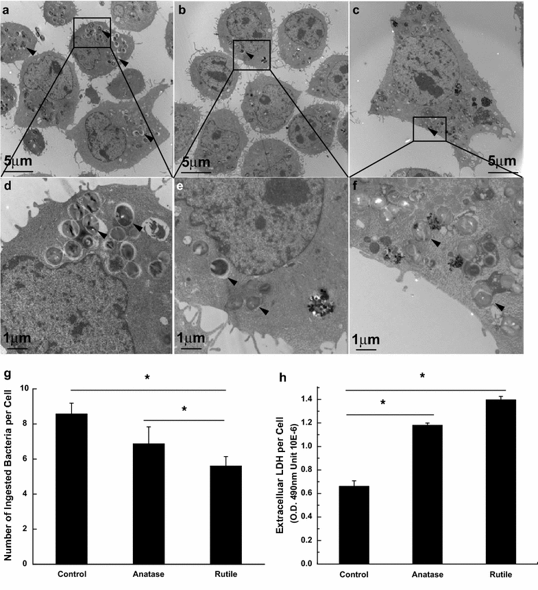 Fig. 10