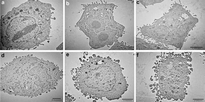 Fig. 4