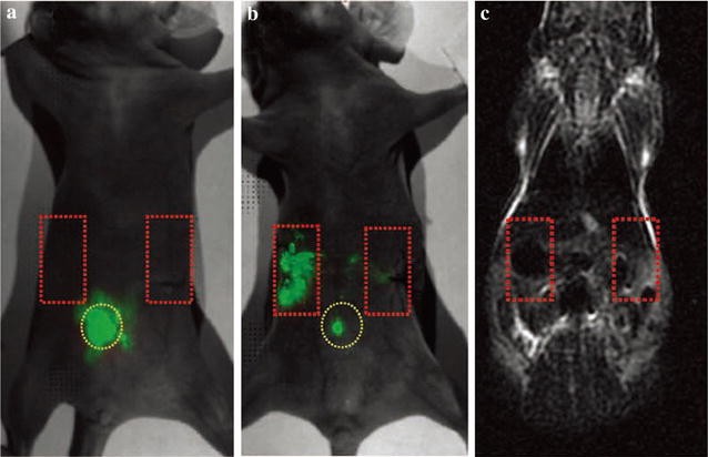 Fig. 7