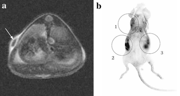 Fig. 8