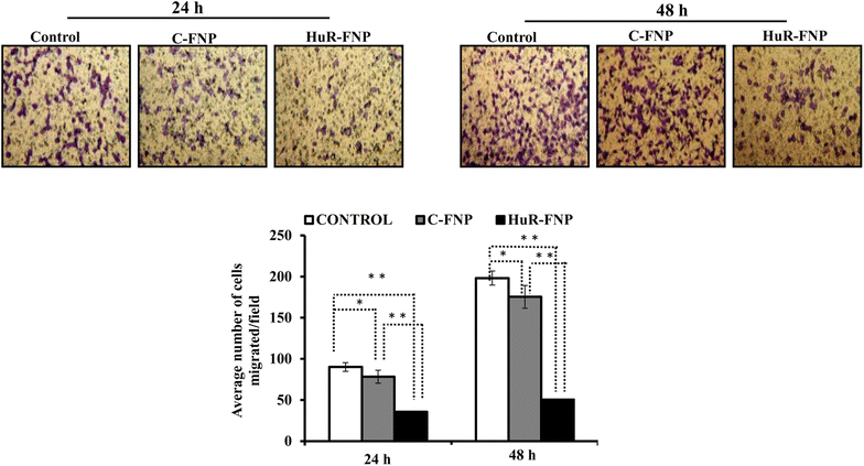 Fig. 9