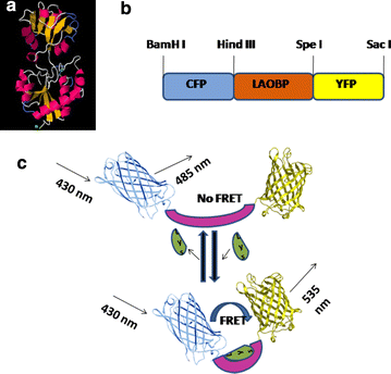 Fig. 1