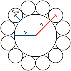 Fig. 5