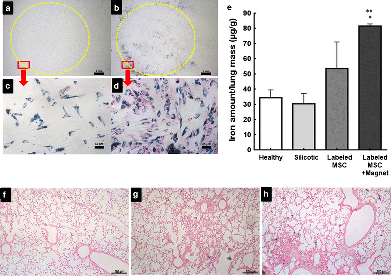 Fig. 9