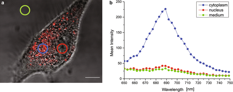 Fig. 1