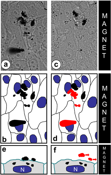 Fig. 4