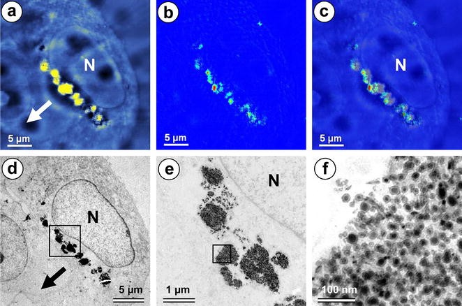 Fig. 6