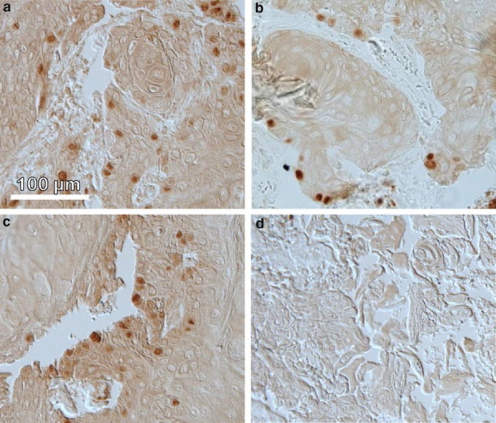 Fig. 8