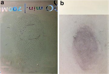 Fig. 10