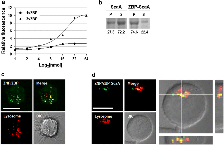 Fig. 3