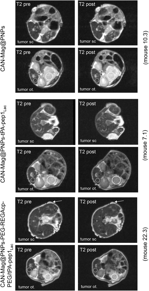 Fig. 5