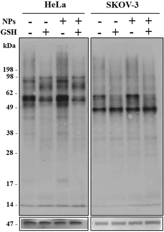 Fig. 9