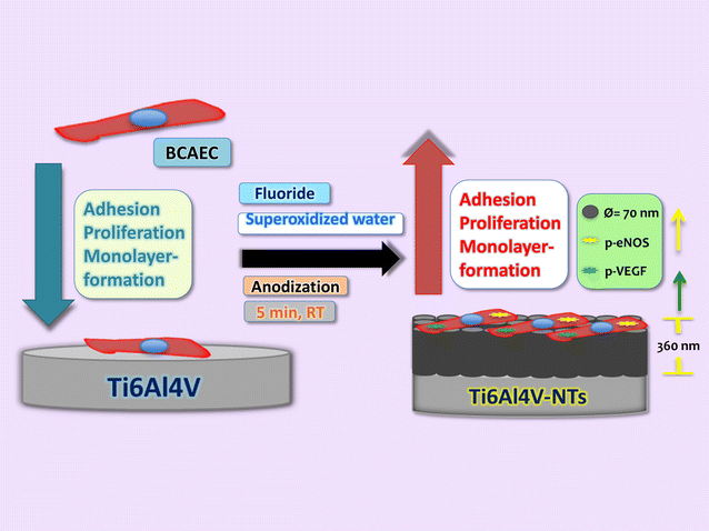 Fig. 12