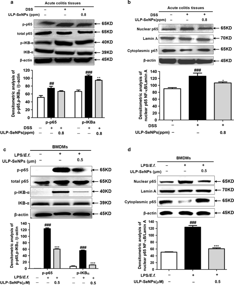 Fig. 8