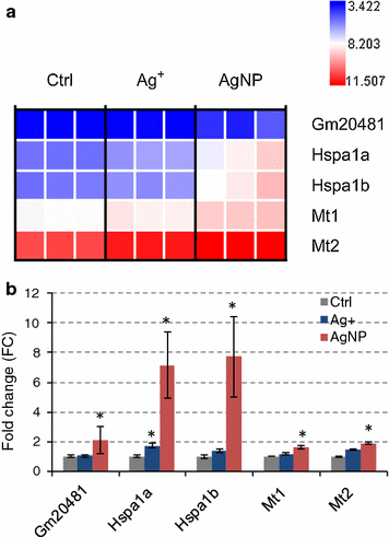 Fig. 7