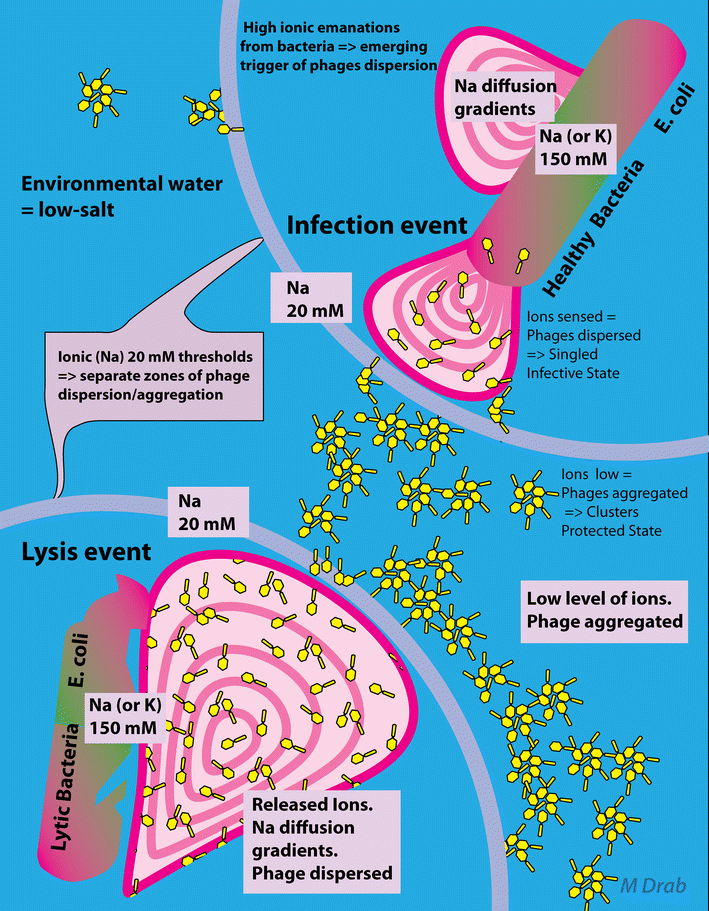 Fig. 6