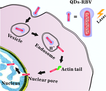 Fig. 6