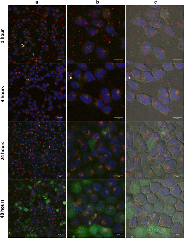 Fig. 4