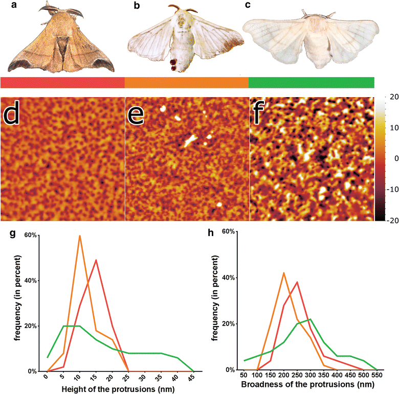 Fig. 1