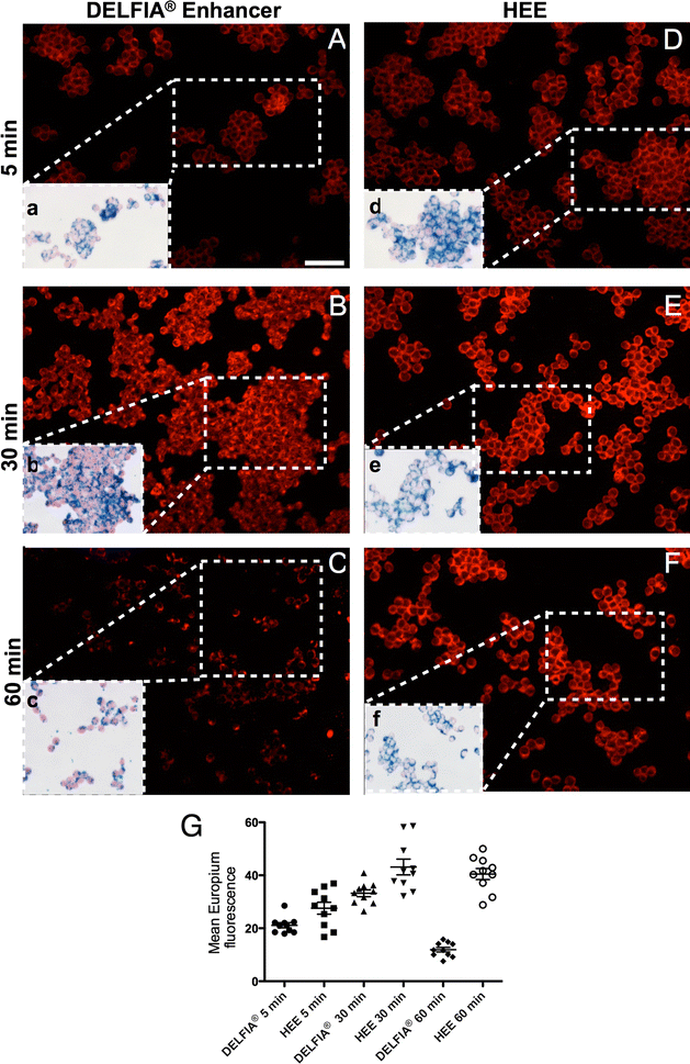 Fig. 5