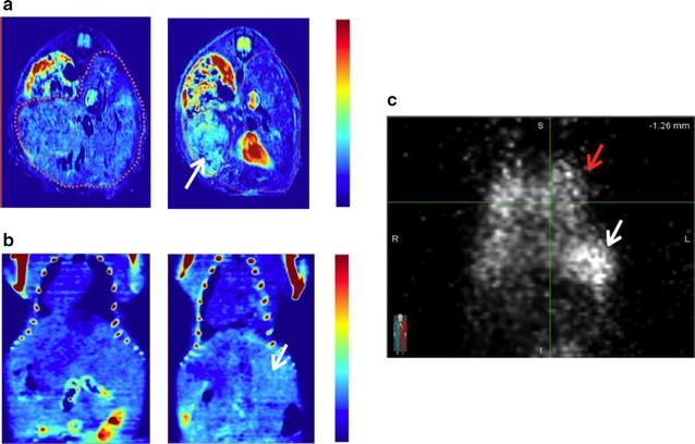 Fig. 4