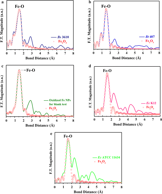 Fig. 5