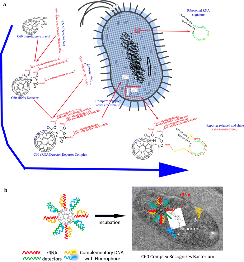 Fig. 2