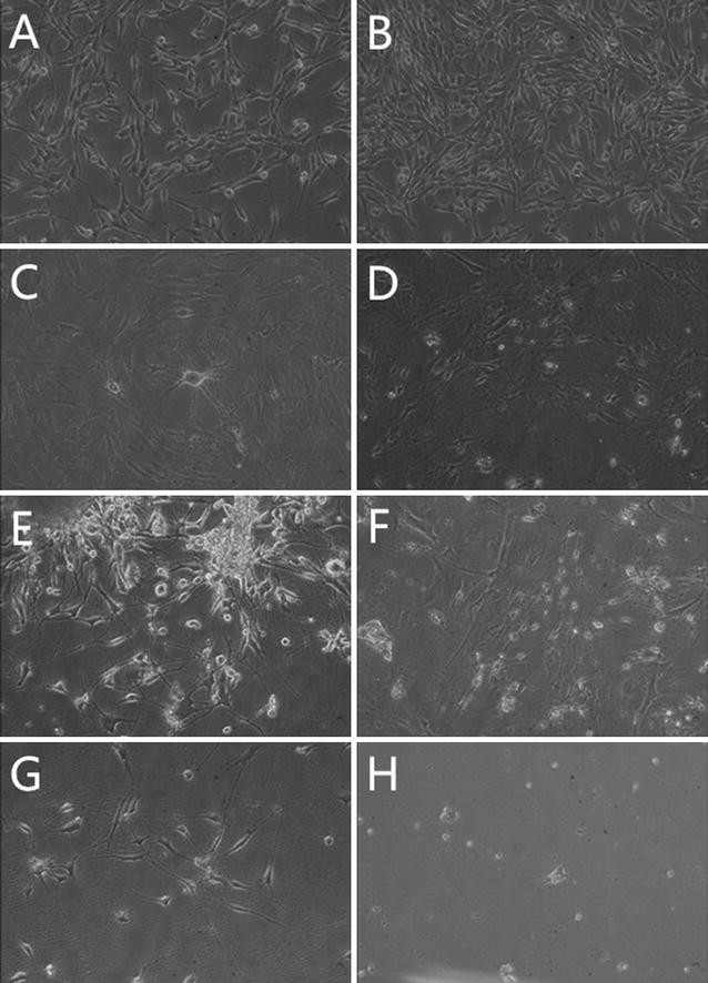 Fig. 6