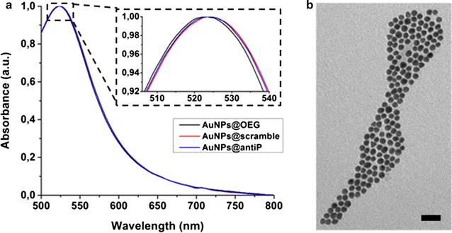 Fig. 1