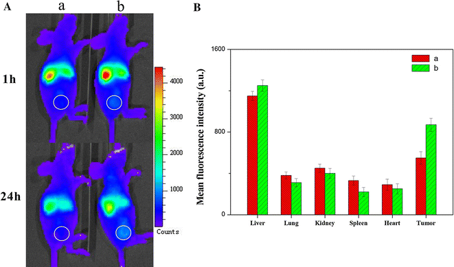 Fig. 6