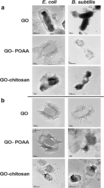 Fig. 5