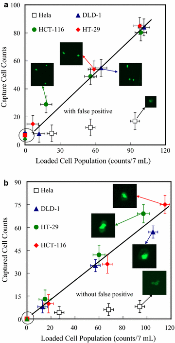 Fig. 6