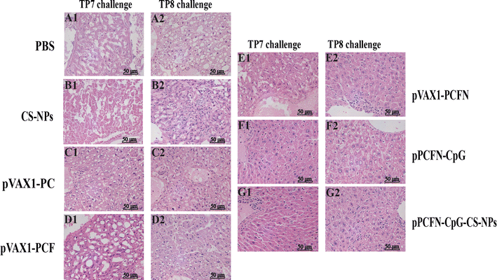 Fig. 8