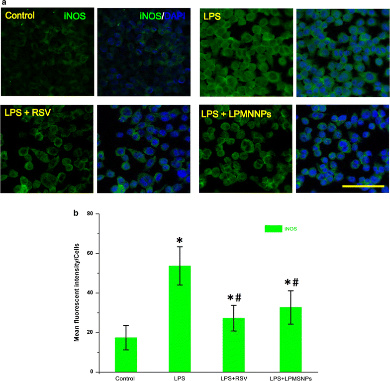 Fig. 10