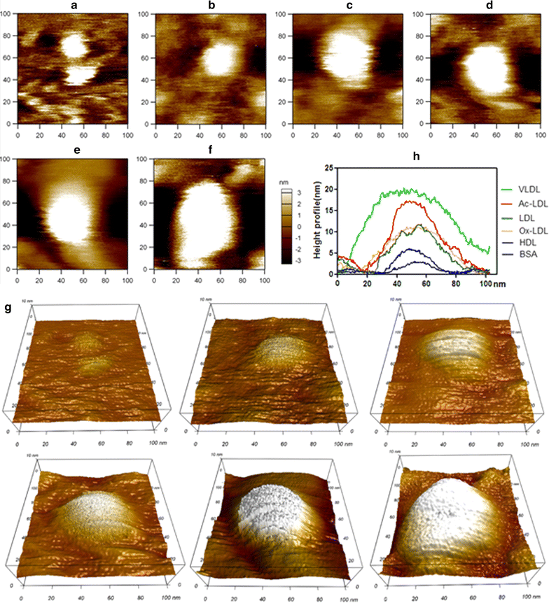 Fig. 2