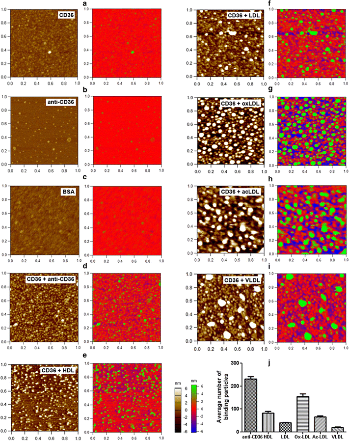 Fig. 3