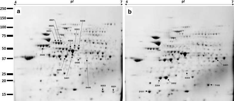 Fig. 6