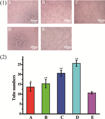 Fig. 9