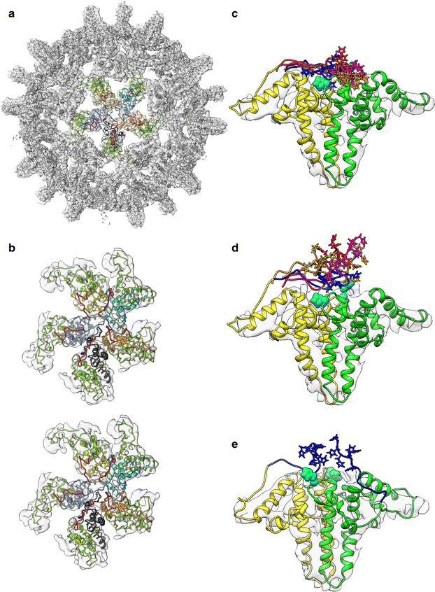 Fig. 7