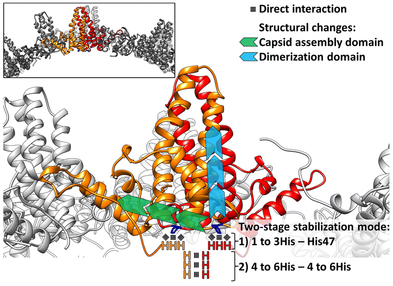 Fig. 8