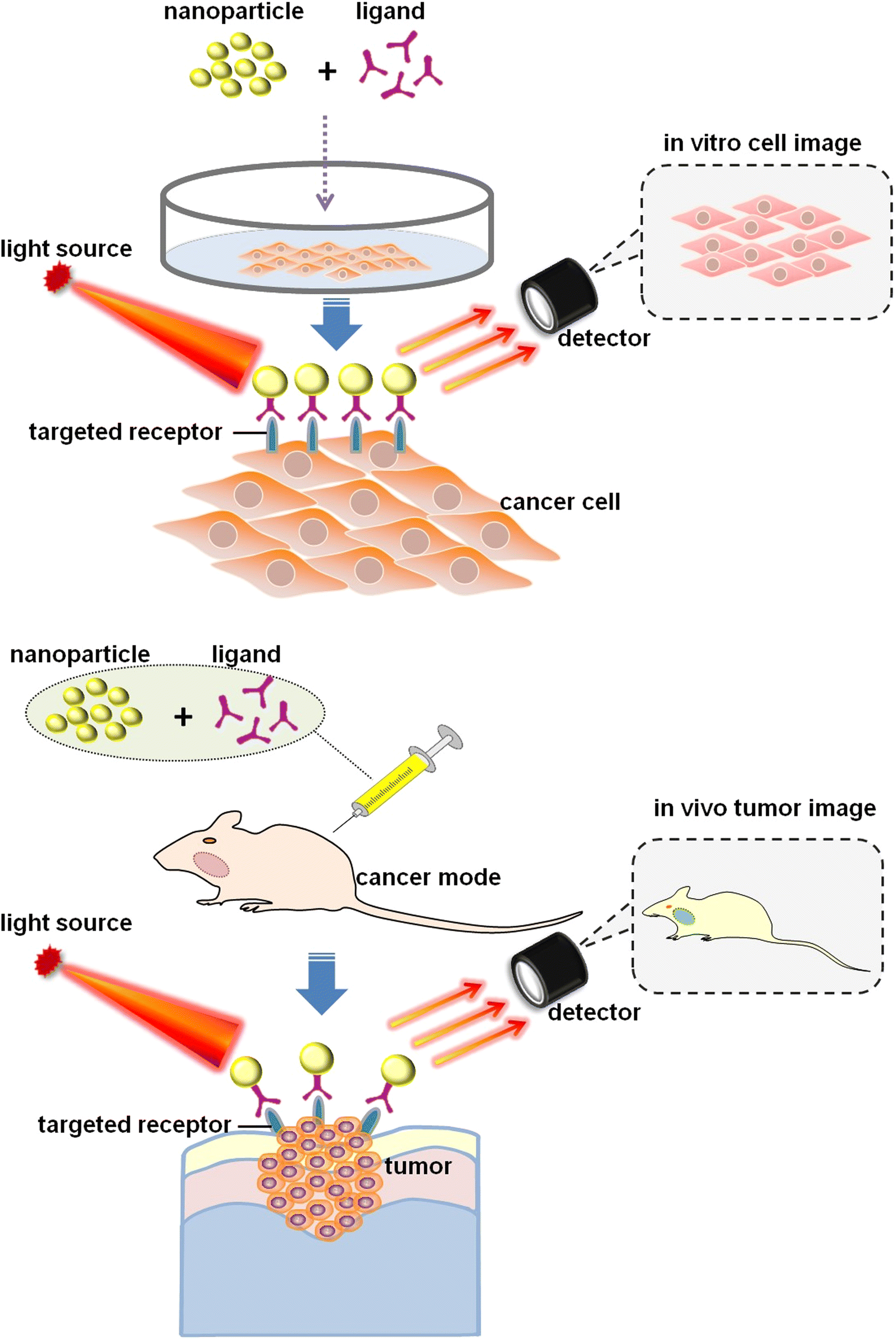 Fig. 1