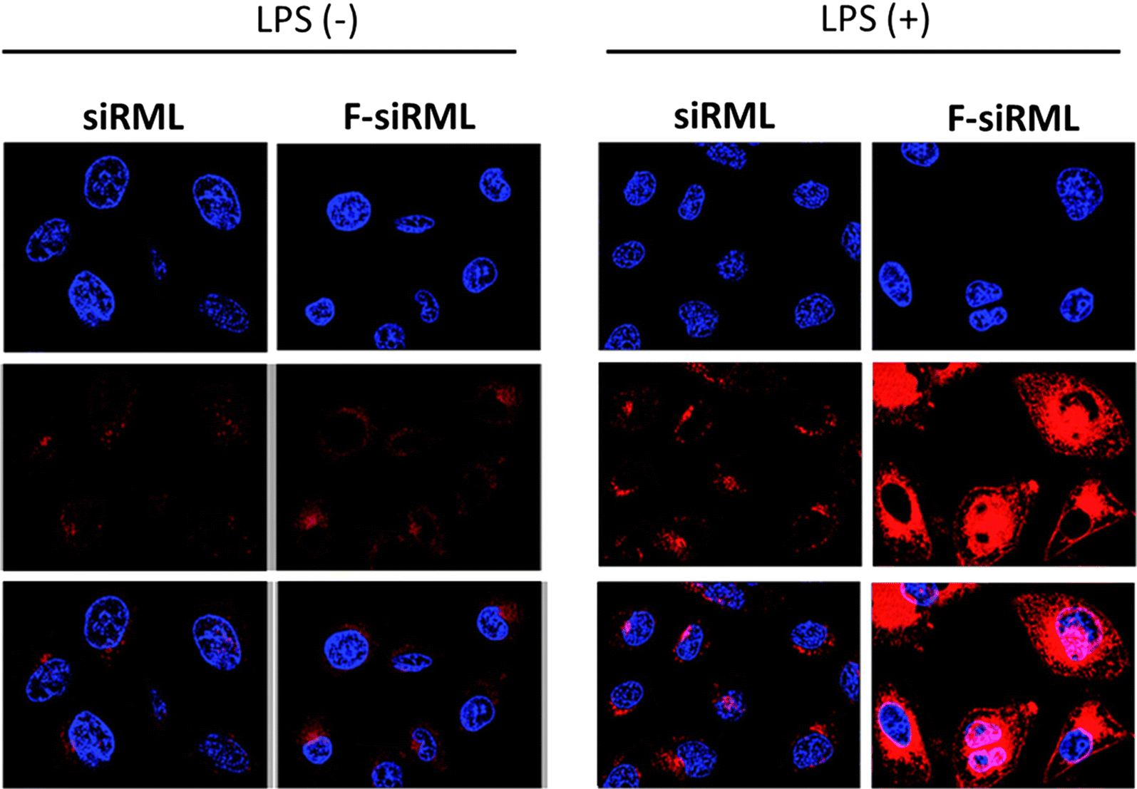 Fig. 3