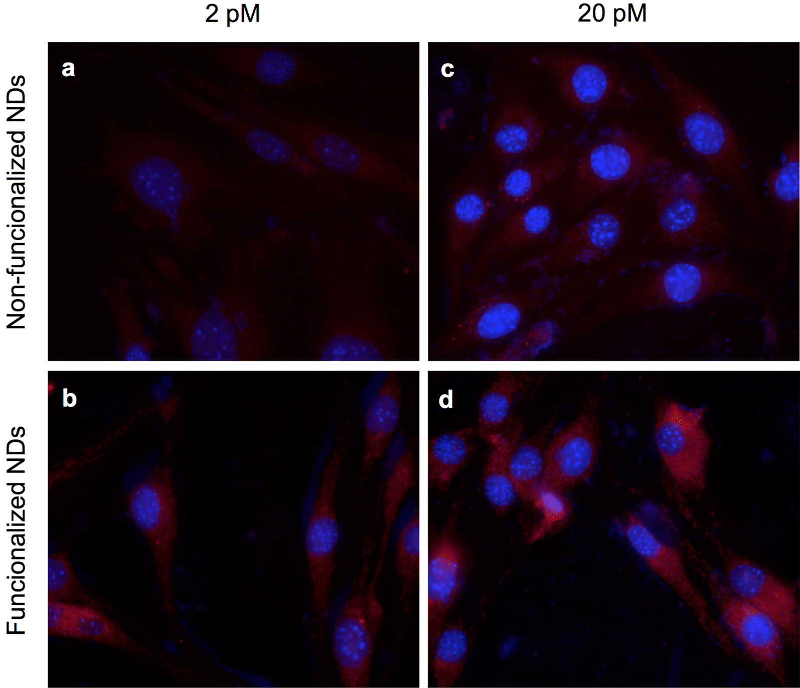 Fig. 4