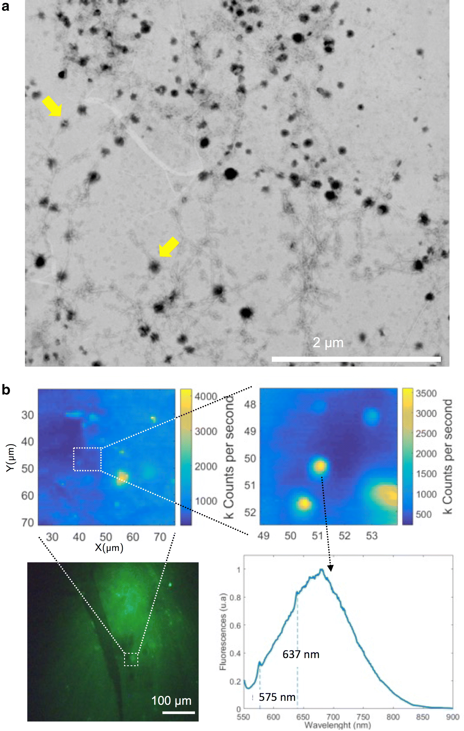 Fig. 7