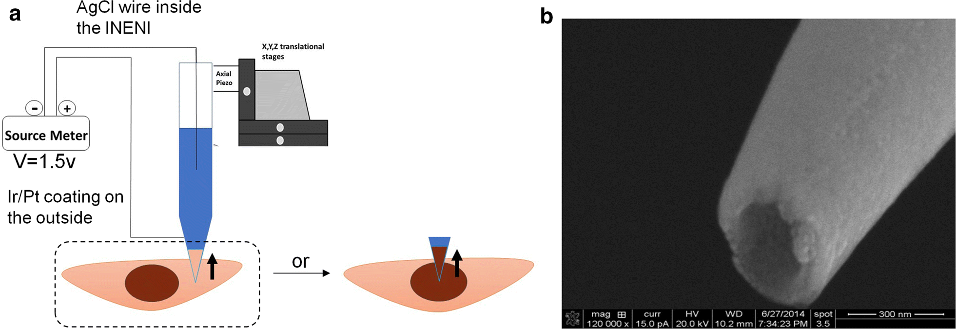 Fig. 1