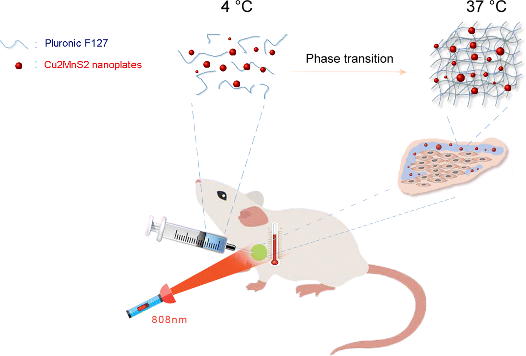 Fig. 1