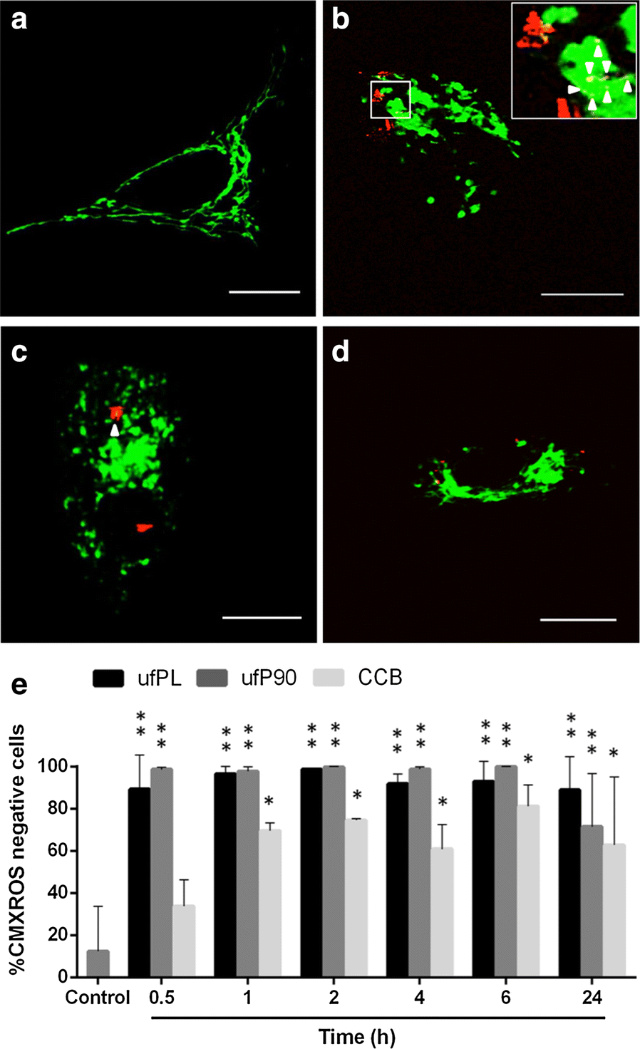 Fig. 4